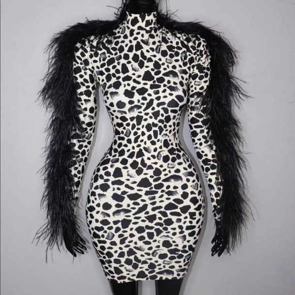 Dresses & Skirts - Black and white feather dress